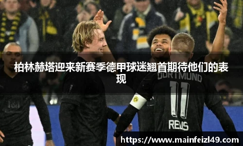 BB贝博登录入口