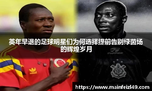 BB贝博登录入口