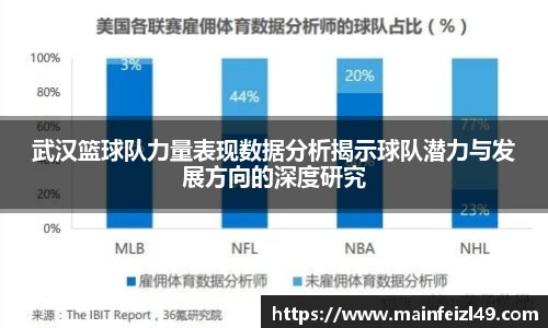 武汉篮球队力量表现数据分析揭示球队潜力与发展方向的深度研究